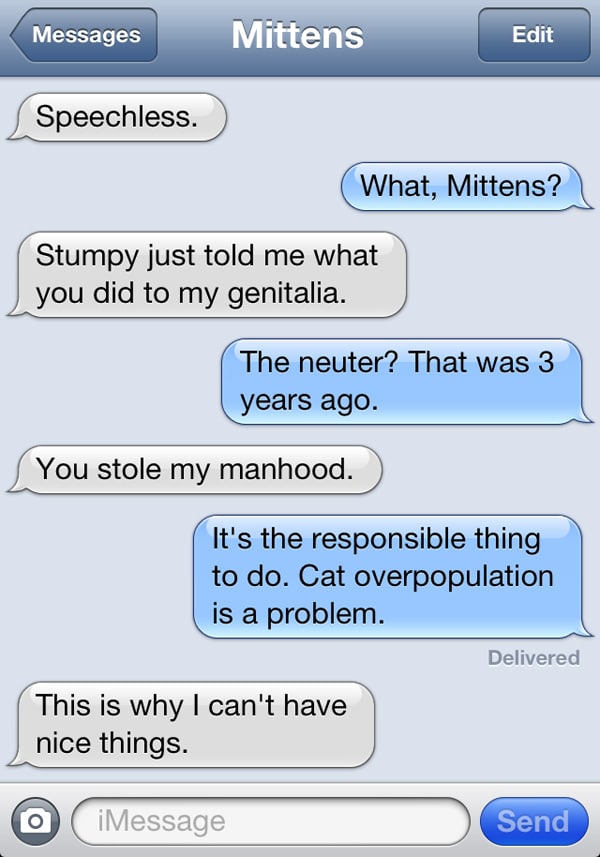 texts-from-mittens-the-cat-how-dare-you-go-on-vacation-edition-catster