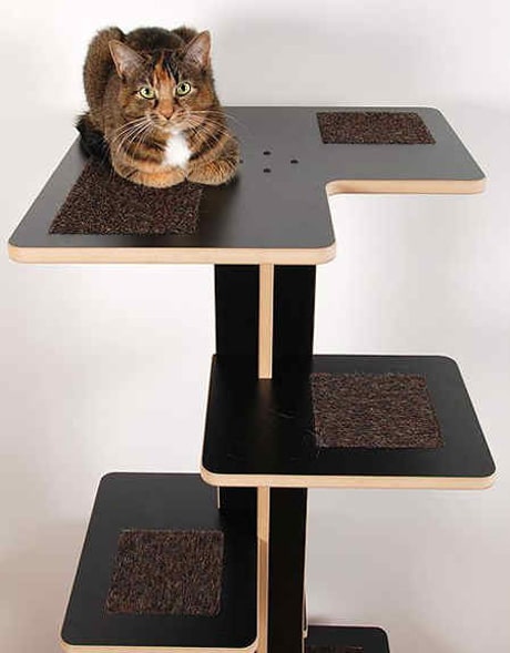 What Your iCat Furniturei Says About You Catster What Your iCat Furniturei Says About You Catster