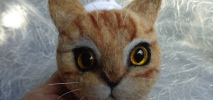 cat change purse