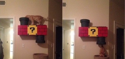 Your Cat Clearly Needs This Super Mario Themed Climbing Box