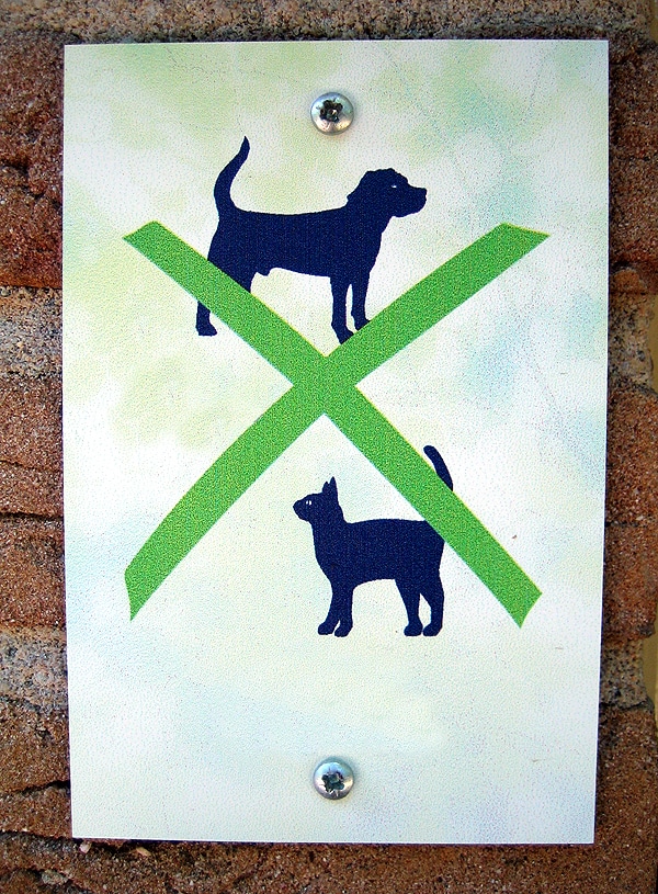 Can A Landlord Refuse An Emotional Support Cat? Catster