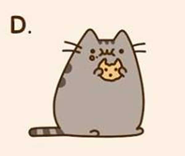cookie pusheen