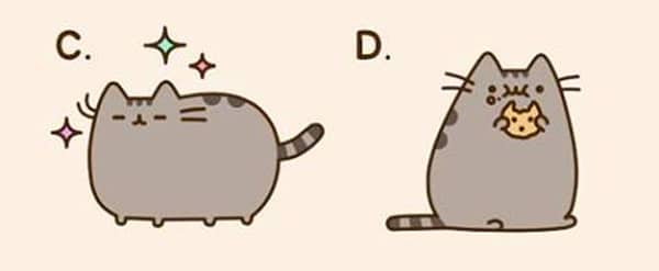 pusheen cat with cookie