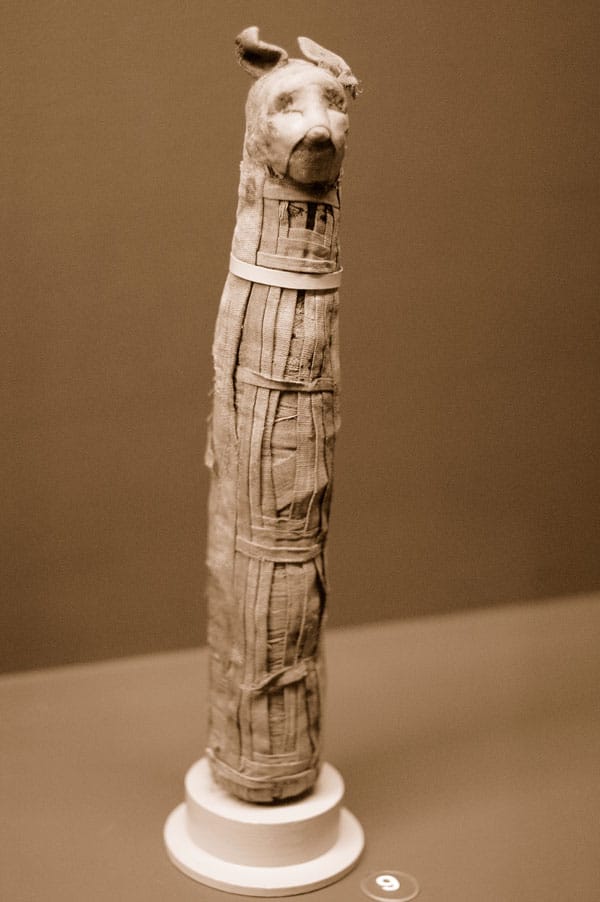 A Look at Cat Mummies on Display Around the World - Catster