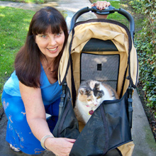cat strollers near me