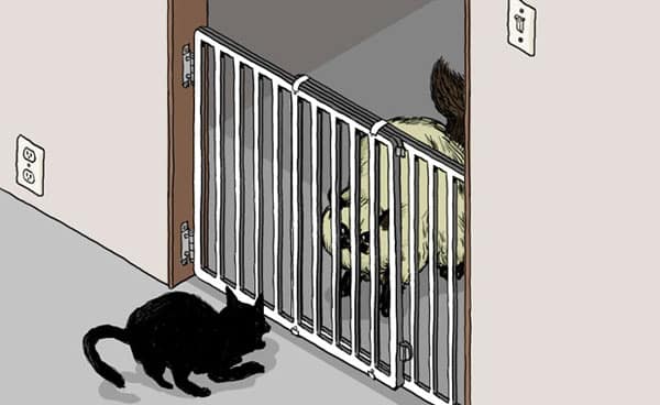 baby gate to keep cats out