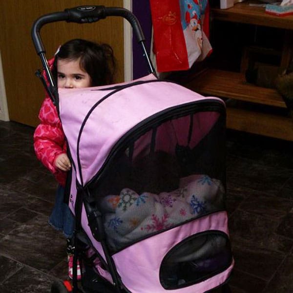 8 Things People Say When I Walk My Cats in Their Stroller Catster