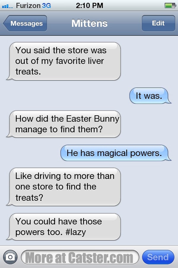 cat facts texts cute cat 2018