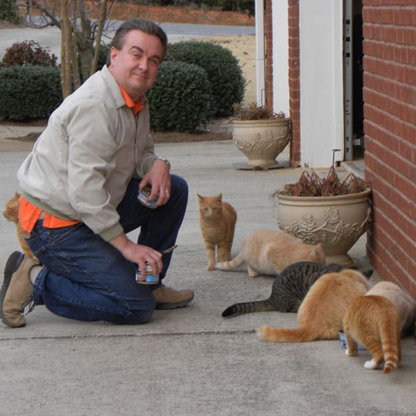 Feeding wet food to outdoor cats. 