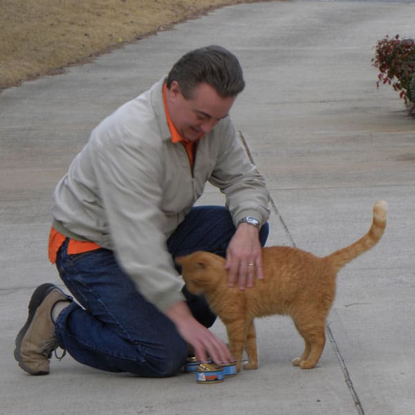 An orange cat hitting tinned wet food.