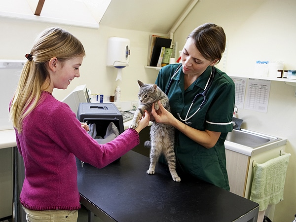 dating veterinarian