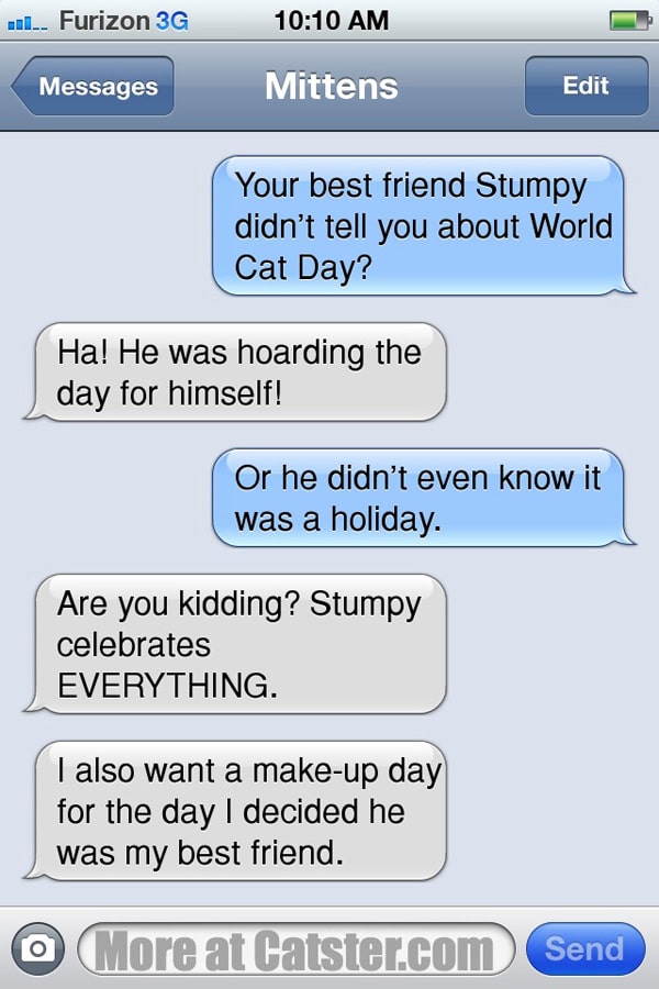 texts-from-mittens-the-no-world-cat-day-edition-catster