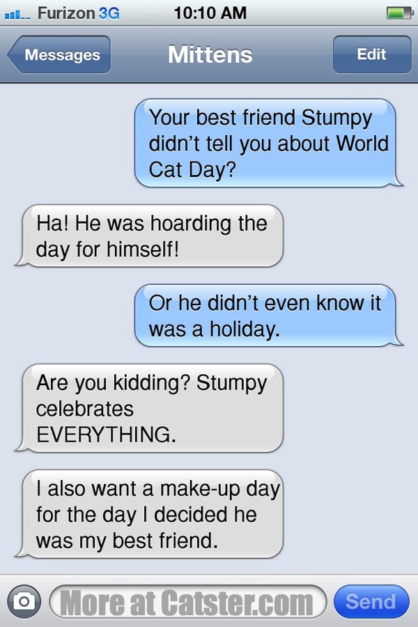 Texts From Mittens The No World Cat Day Edition Catster texts-from-mittens-the-no-world-cat-day-edition-catster