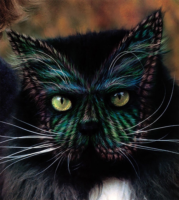 See Stunningly Painted Cats of the Book “Why Paint Cats?” - Catster