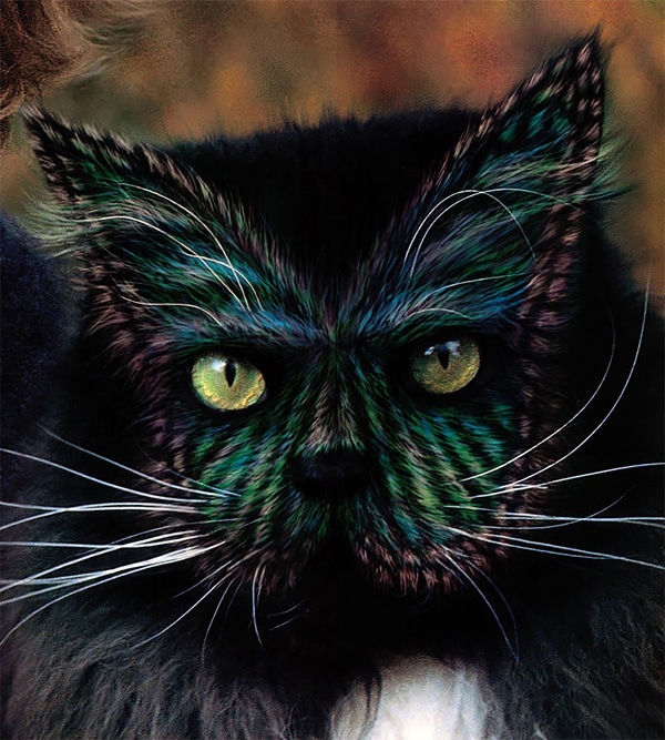 See Stunningly Painted Cats of the Book "Why Paint Cats?" Catster