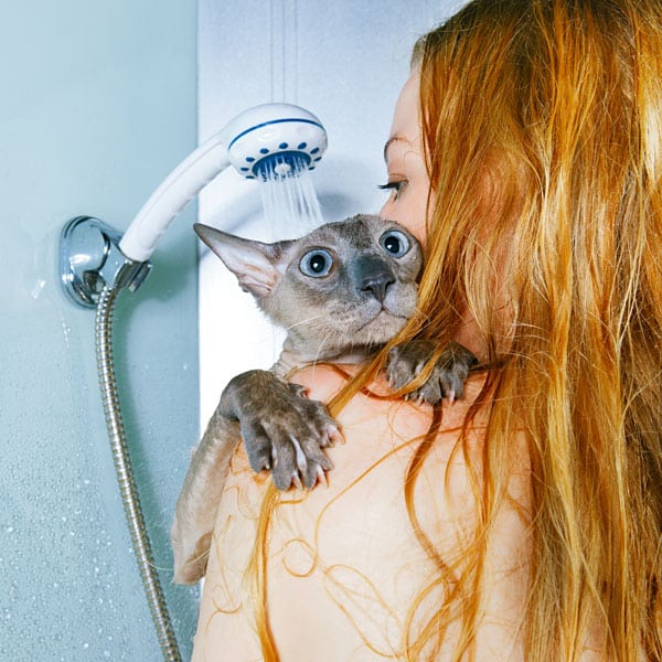 A cat in a shower with his human.