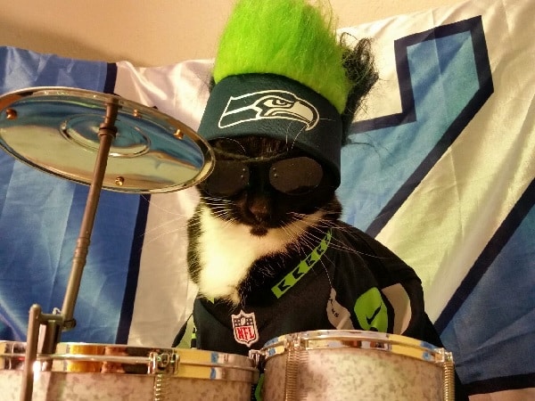 cat seahawks jersey