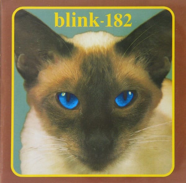 Pix We Love Albums That Feature Cats on the Cover Catster