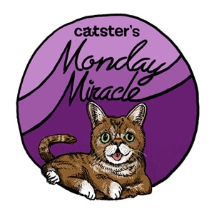 Catster-Monday-Miracle-badge_27