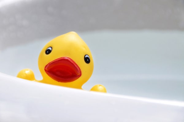cat-summer-cool-duck-50305846