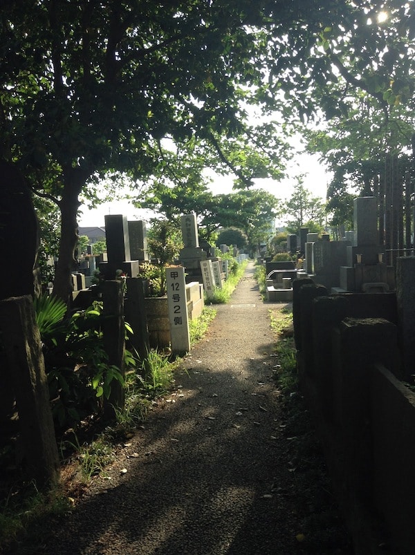 My favorite part of the cemetery -- quiet, shady, and a little overgrown.