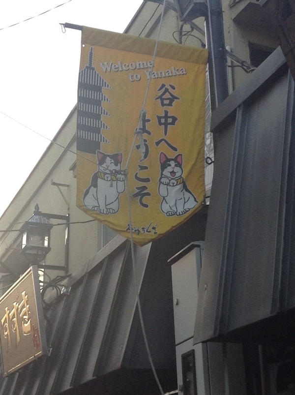 Welcome to Yanaka! Meow!