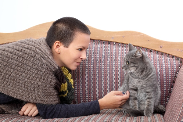 Young woman cat sitter meeting gray cat