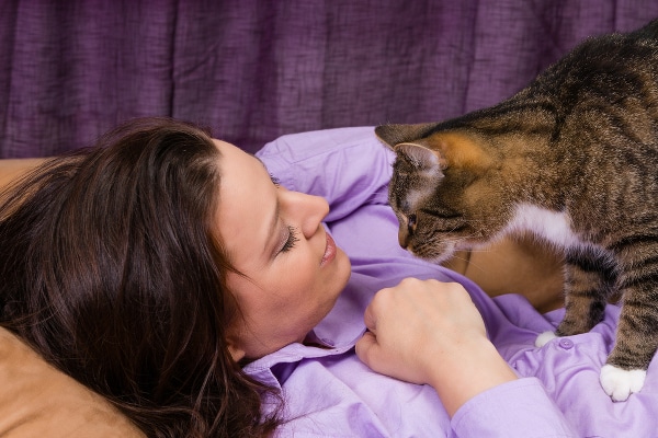 5-cat-and-woman-267820721