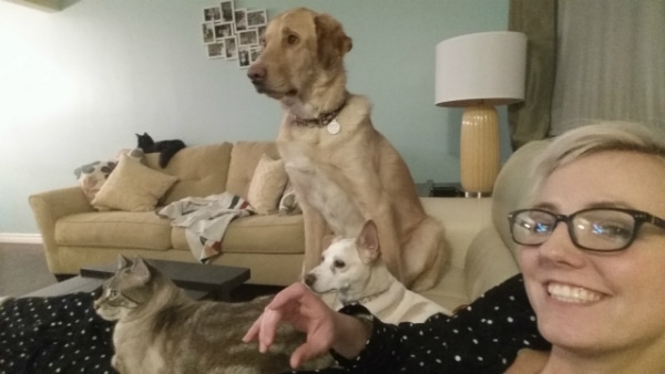 During a sick day, the rest of my pets cuddled up to me, but Specter sat on the other couch, all the way across the room.