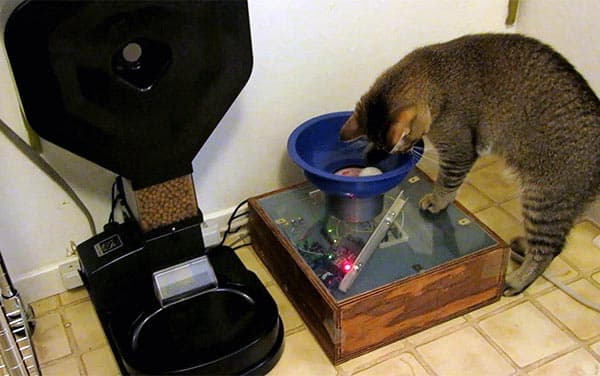 Benjamin Millam’s feline feeding machine.
