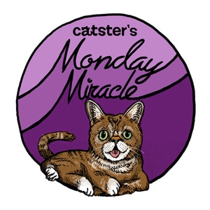 Catster-Monday-Miracle-badge_37_0