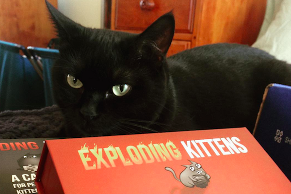 potato cat exploding kittens