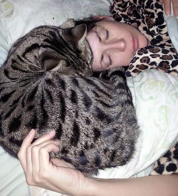 Ask a Behaviorist Why Do Cats Hang Out in Weird Places? Catster