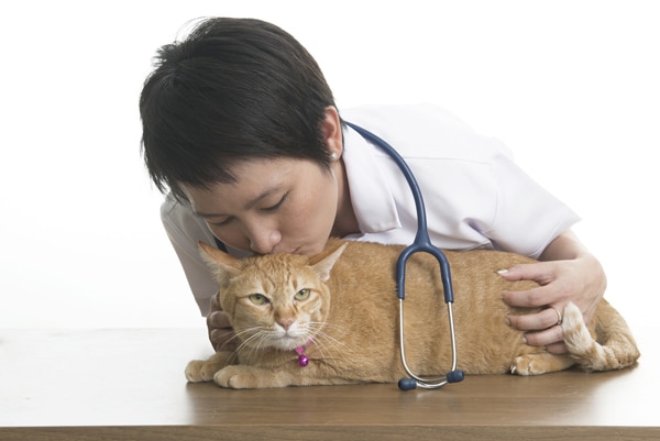 Veterinarian with cat by Shutterstock