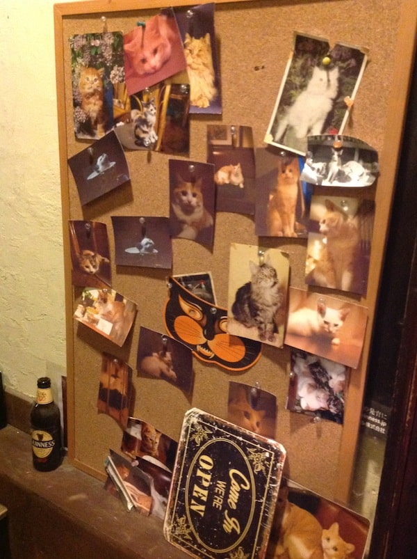Cat bar memory board?