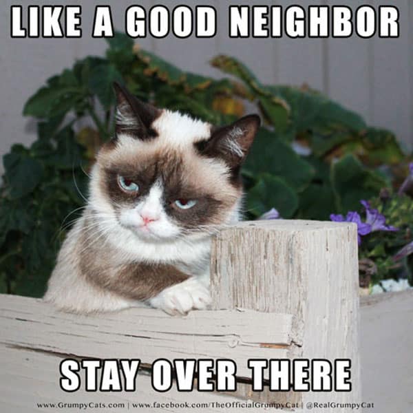 like a good neighbor stay over there meme posted by realgrumpycat
