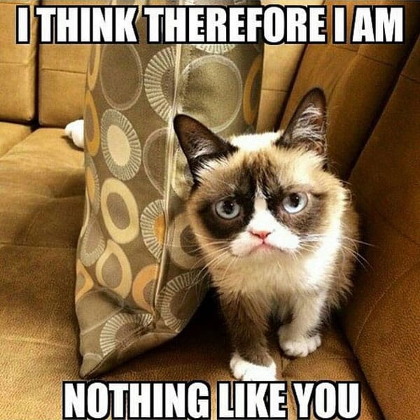 i think therefore i am meme posted by grumpycat_memes13