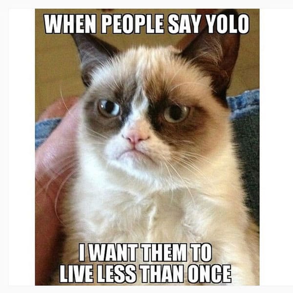 grumpy-cat-meme-051.jpg