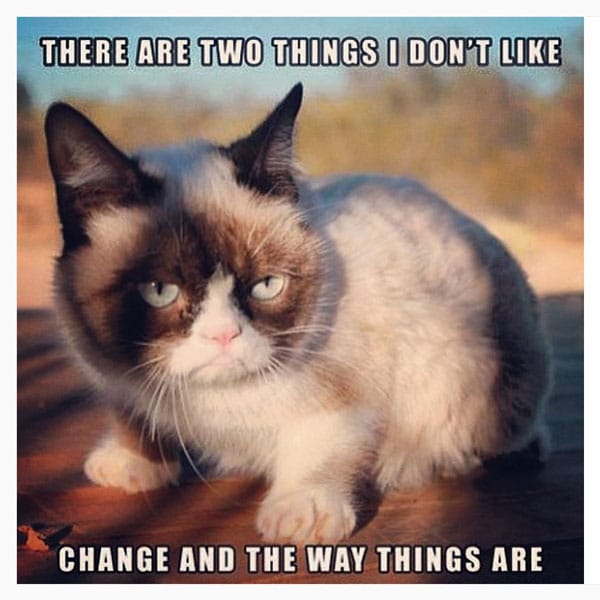 grumpy cat meme 061