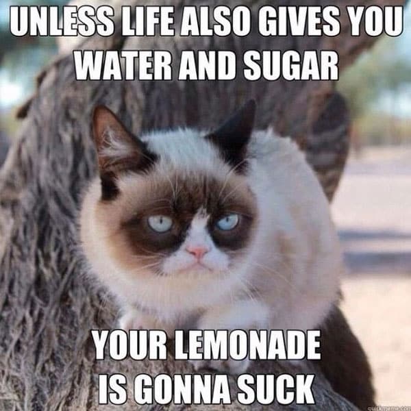 your lemonade is gonna suck meme posted by grumpy_cat88