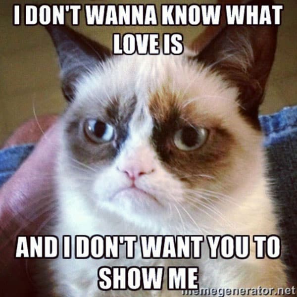 don't wanna know what love is meme posted by memegenerator