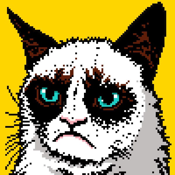 grumpy cat pixel art meme posted by pxlflx
