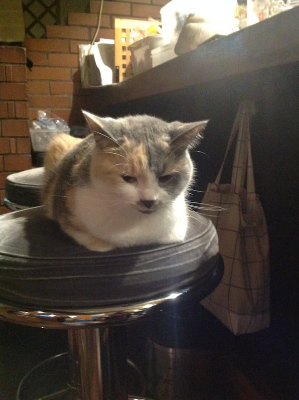 "Seat's taken."