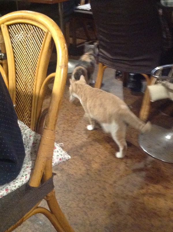 Chi and company attend to some business. 