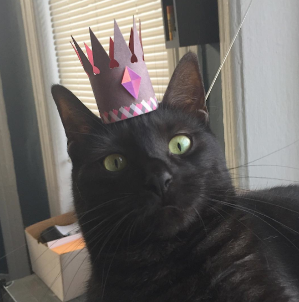 Every cat deserves a crown.