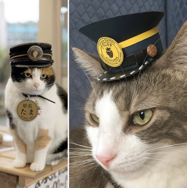 A hat like this is guaranteed to create law-abiding citizens.