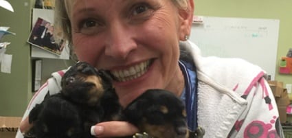 low cost veterinary surgery