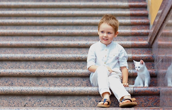 kid kitten stairs