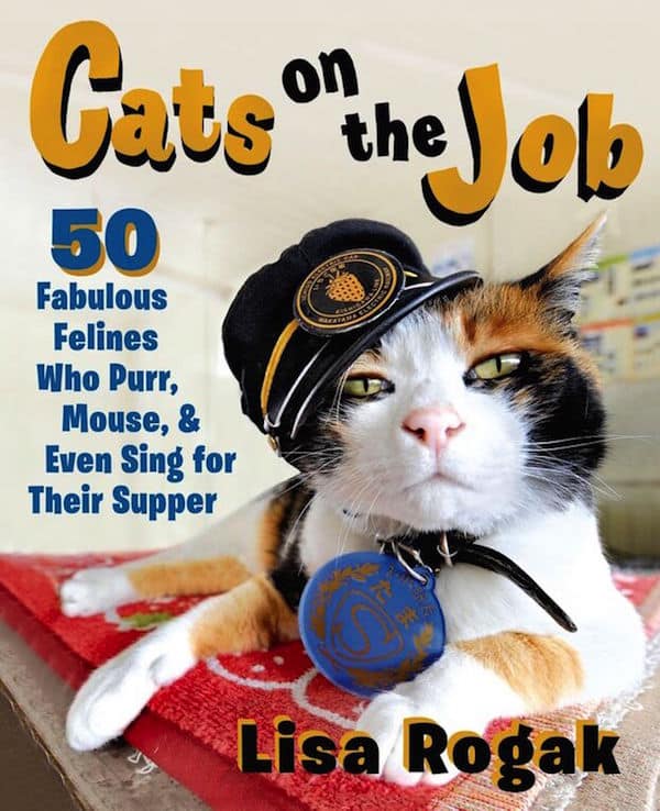 CatsOnTheJobCover