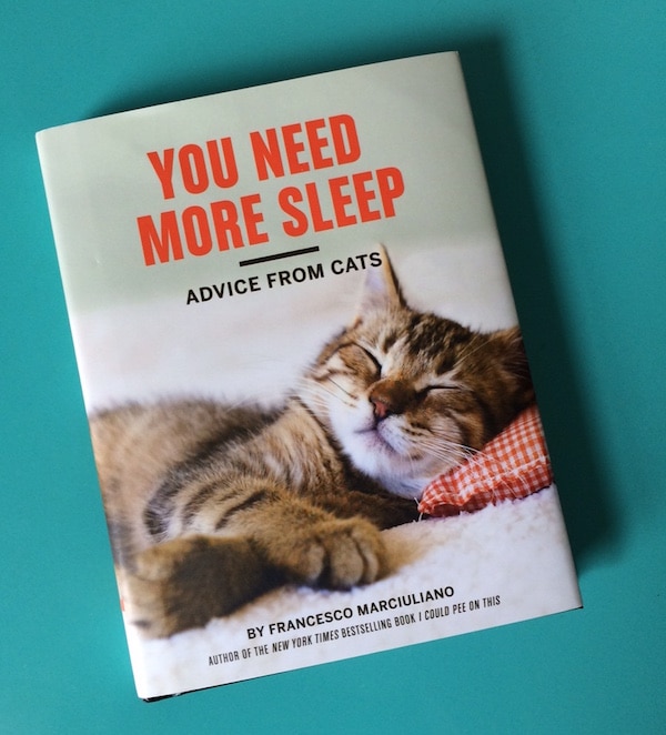 YouNeedMoreSleepCover